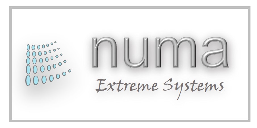 NUMA Extreme Systems